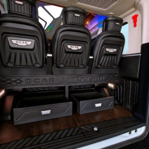 Sapa to Halong Limousine - Sapa Private Car