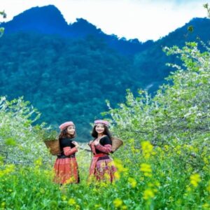 Sapa to Mai Chau by private car- Sapa Private Car Travel