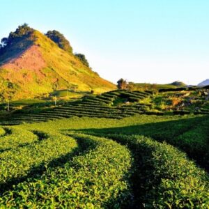 Sapa to Moc Chau Luxury Car - Sapa Private Car