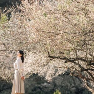 Sapa to Moc Chau Luxury Car - Sapa Private Car