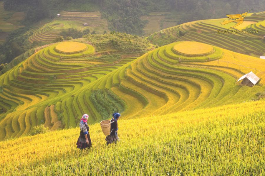 Visiting Sapa- Sapa Private Cả