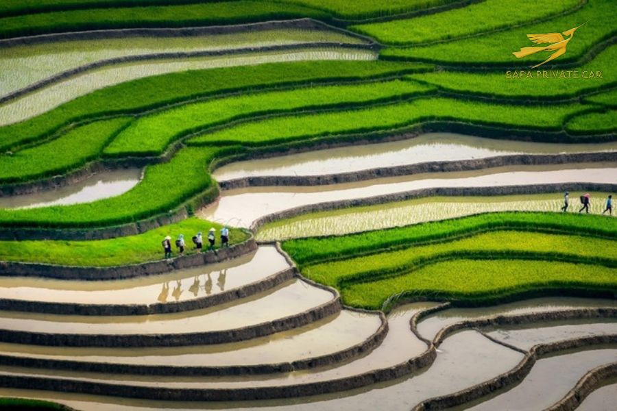 Best Season To Visit Sapa- Sapa Private Car