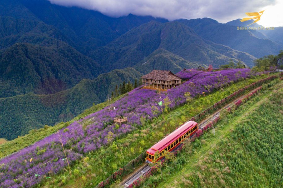 Muong Hoa Train Station- Sapa Private Car