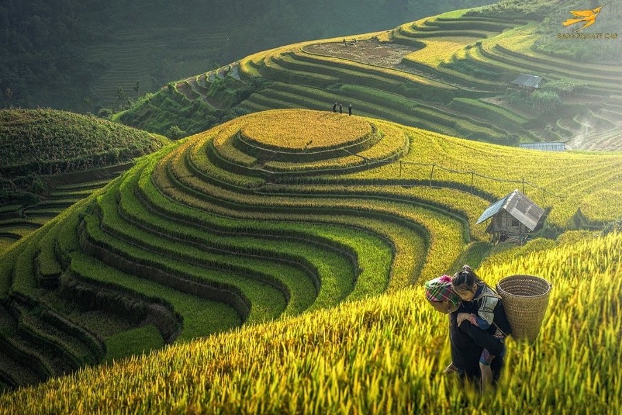 Sapa Entrance Fee - Sapa Prrivate Car