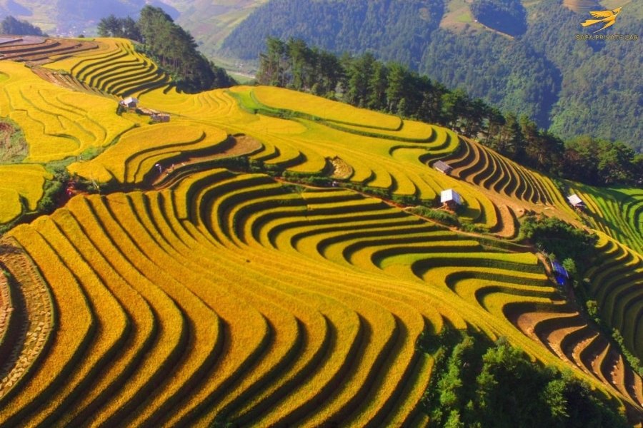 Sapa Entrance Fee - Sapa Prrivate Car