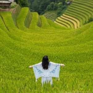 Sapa to Pu Luong Private Car - Sapa Private Car