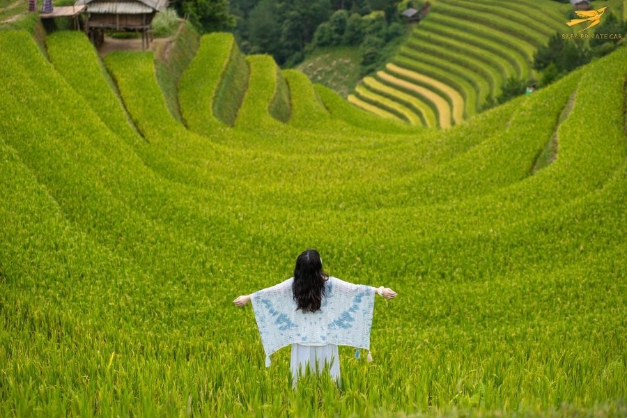 Sapa to Pu Luong Private Car - Sapa Private Car