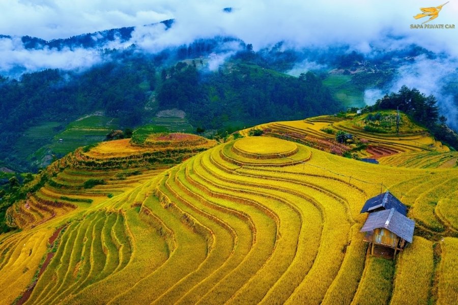 Sapa to Pu Luong Private Car - Sapa Private Car