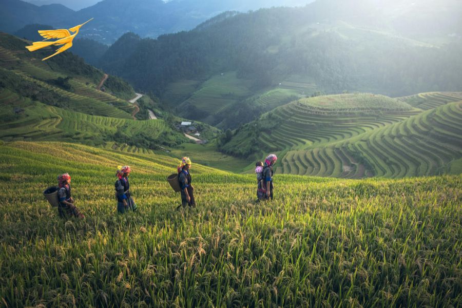 How to get from Hanoi to Sapa - Sapa Private Car