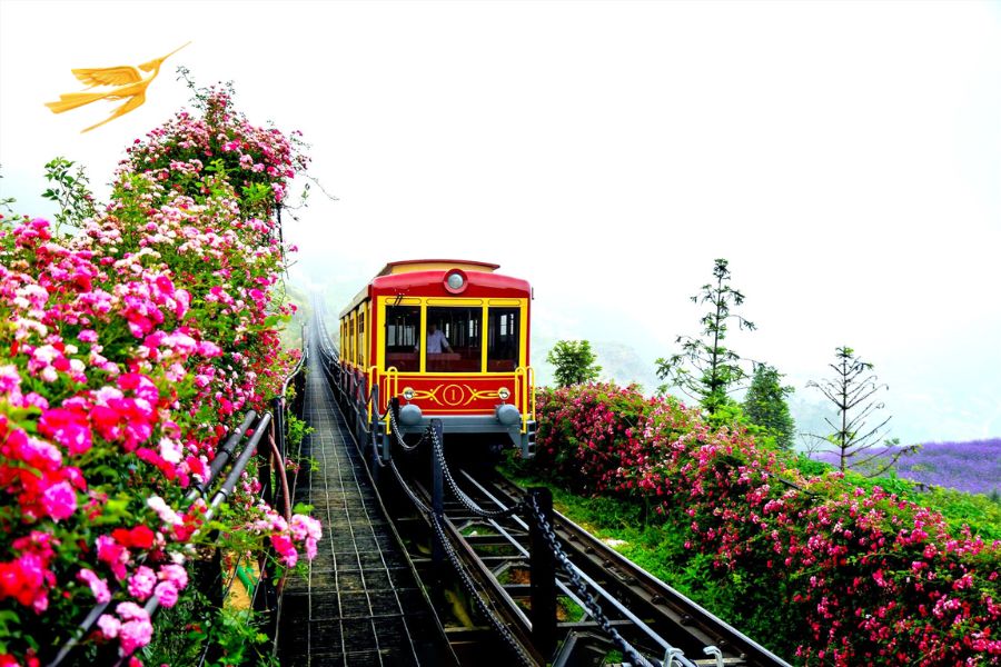 How to get to Sapa from Hanoi - Sapa Private Car
