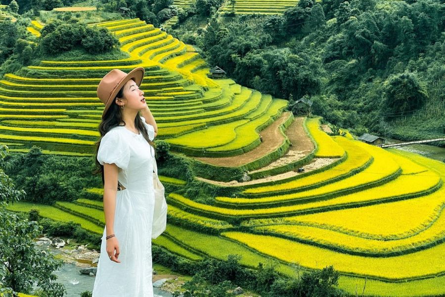 Sapa To Mu Cang Chai Luxury Car - Sapa Private Car