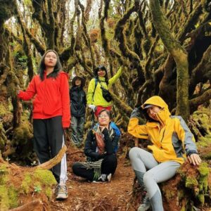 Sapa To Ta Xua By Limousine - Sapa Private Car