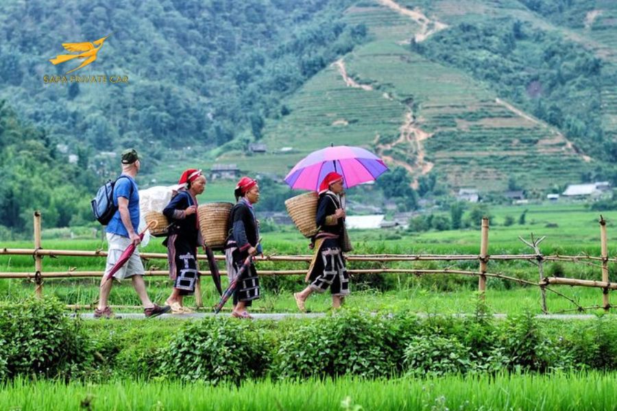 Sapa motorbike tour - Sapa Private Car