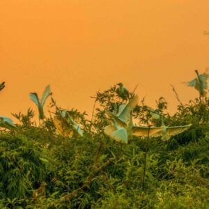 Sapa To Hai Duong By Luxury Car - Sapa Private Car