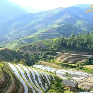Sapa To Bac Ha Luxury Car - Sapa Private Car