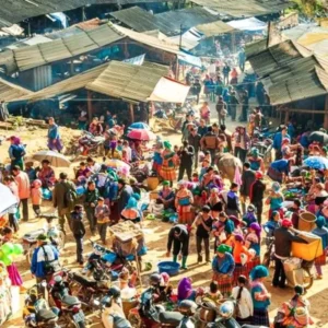 Sapa To Bac Ha Luxury Car - Sapa Private Car