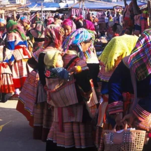 Sapa To Bac Ha Luxury Car - Sapa Private Car