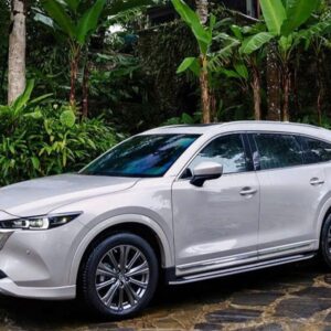 Sapa To Ba Vi National Park Car - Sapa Private Car