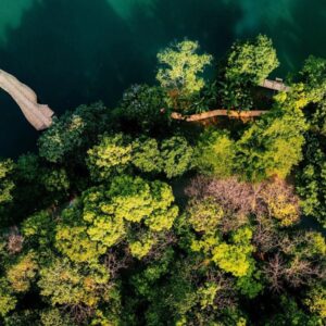 Sapa To Ba Vi National Park Car Transfer - Sapa Private Car