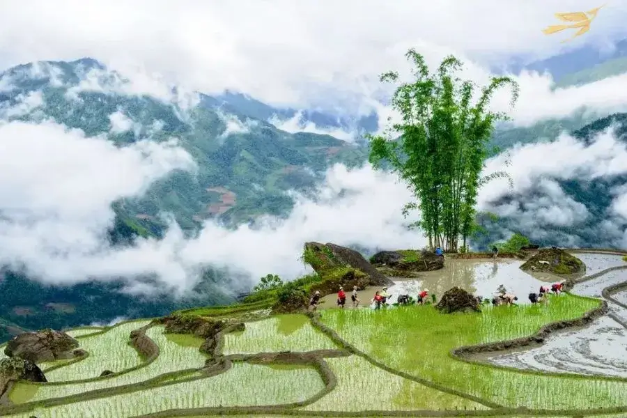 The water season Sapa