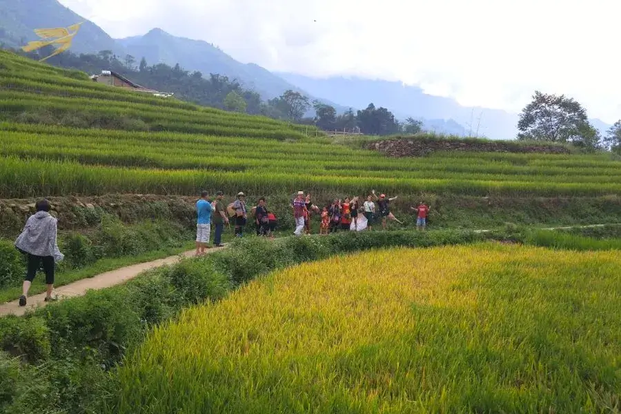 Trekking through Ta Van Village